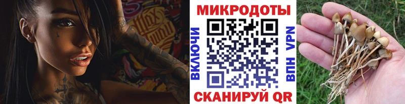 Галлюциногенные грибы Cubensis  хочу   Среднеколымск 